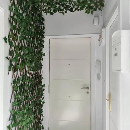 Piso Calle Ancha Apartment *